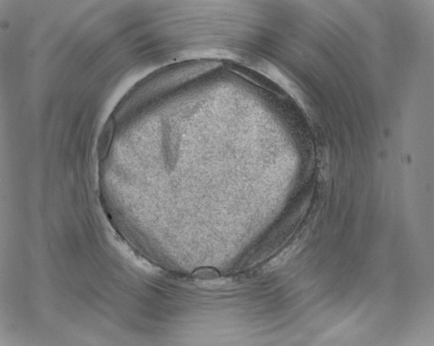 X0000076351140200610272113