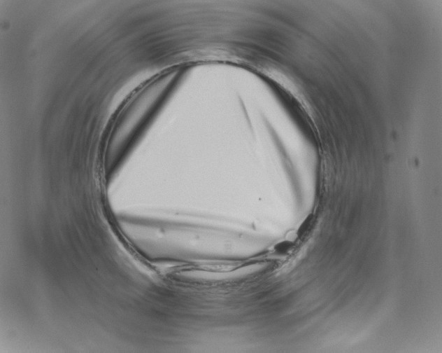 X0000076351141200610272113