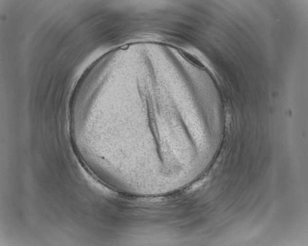 X0000076351143200610272113