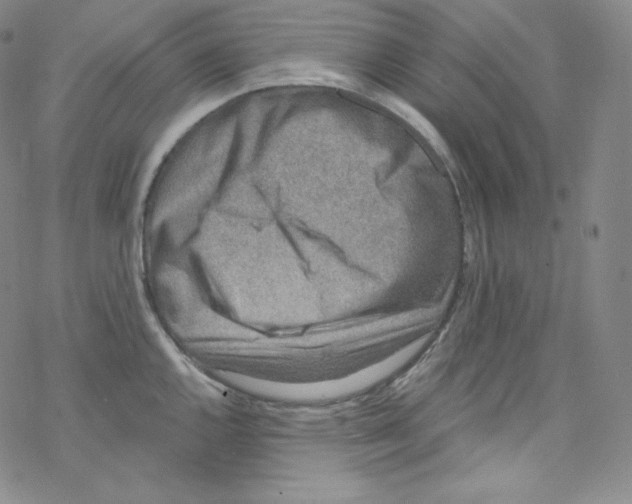 X0000076351144200610272113