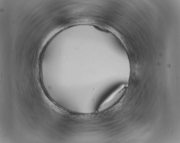 X0000076351147200610272113