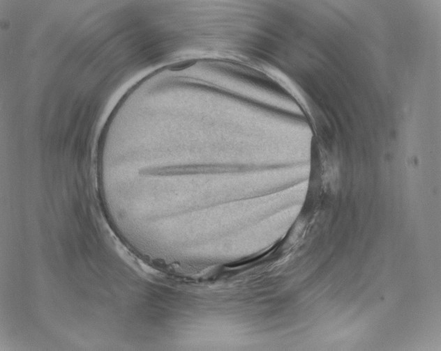 X0000076351148200610272113