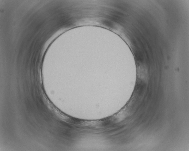 X0000076351150200610272113