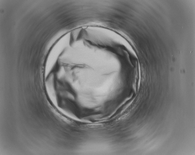 X0000076351151200610272113