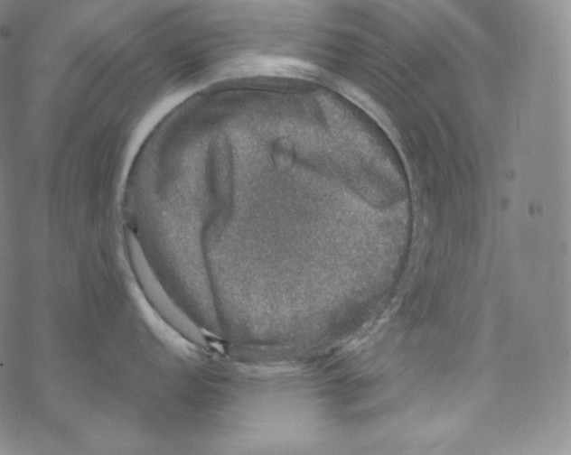 X0000076351152200610272113