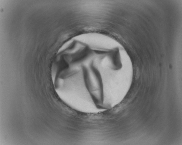 X0000076351153200610272113