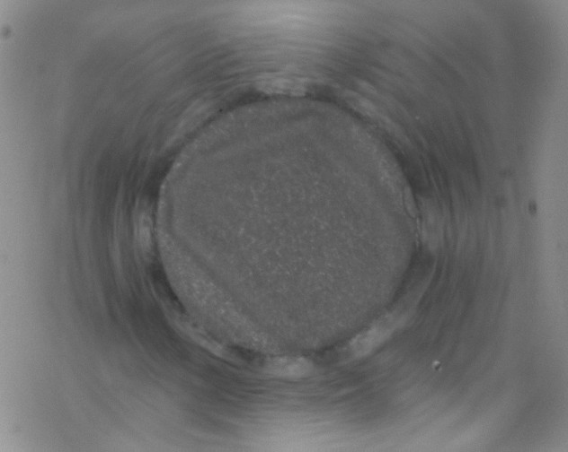 X0000076351154200610272113