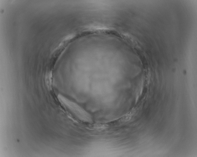 X0000076351157200610272113