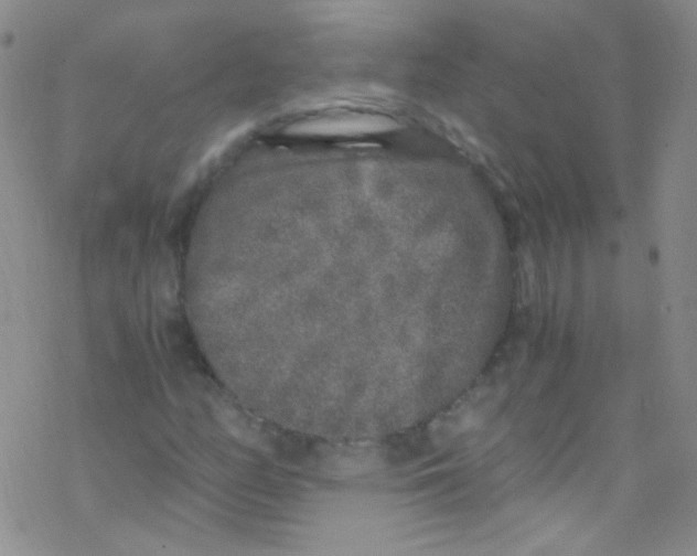 X0000076351158200610272113