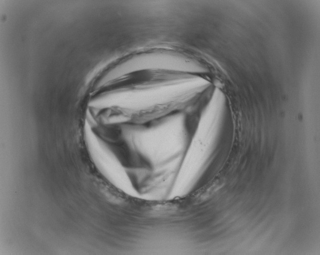 X0000076351160200610272113