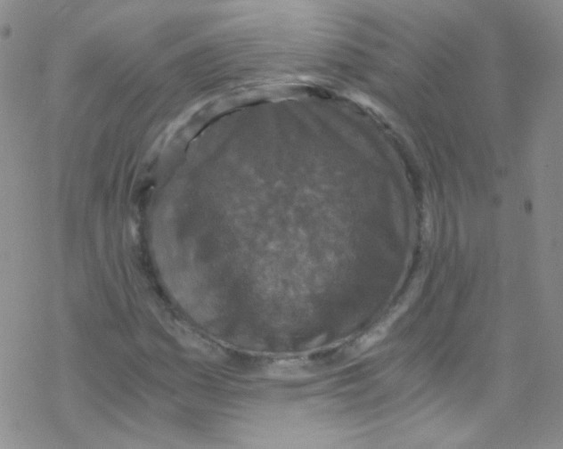 X0000076351161200610272113