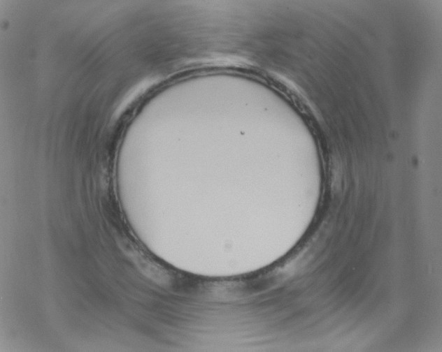 X0000076351163200610272113