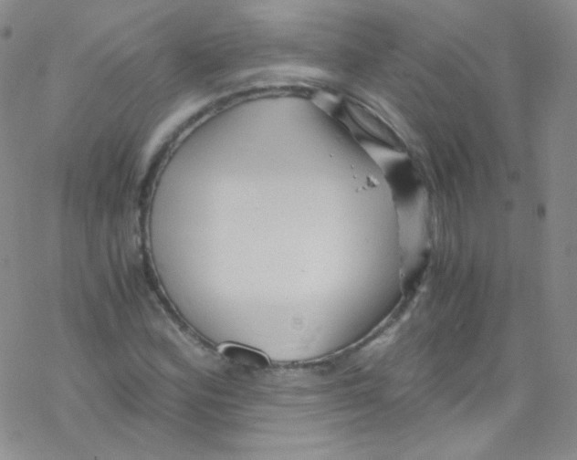 X0000076351164200610272113