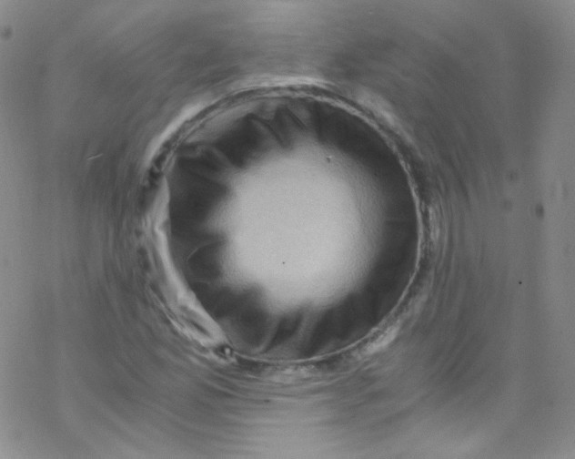 X0000076351165200610272112