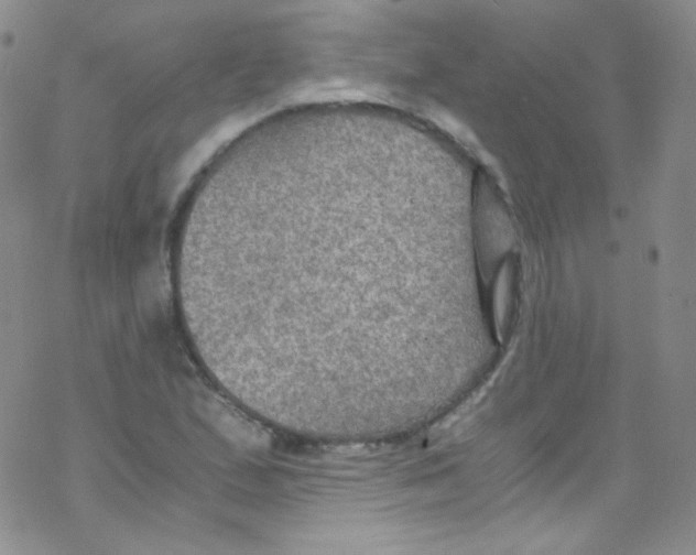 X0000076351167200610272112