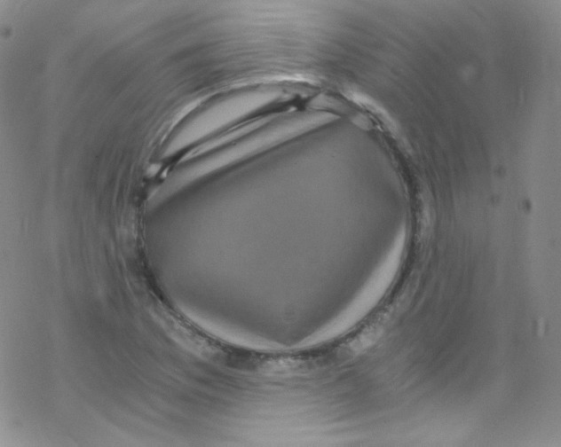 X0000076351169200610272112