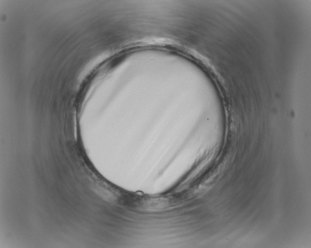 X0000076351171200610272112