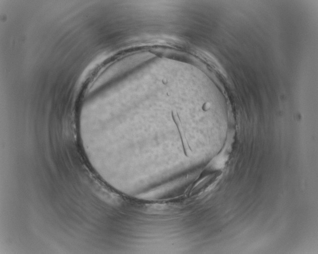 X0000076351172200610272112