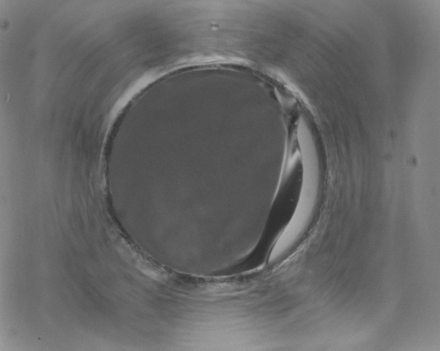 X0000076351173200610272112