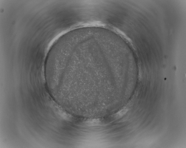 X0000076351174200610272112