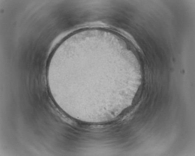 X0000076351176200610272112