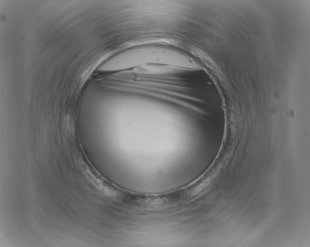 X0000076351177200610272112