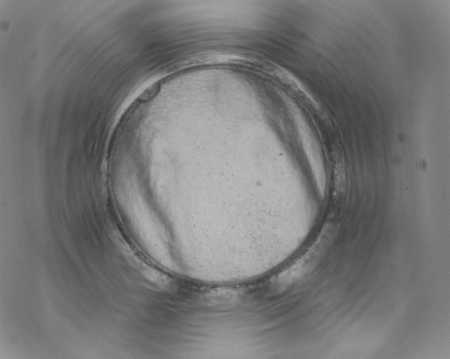 X0000076351178200610272112