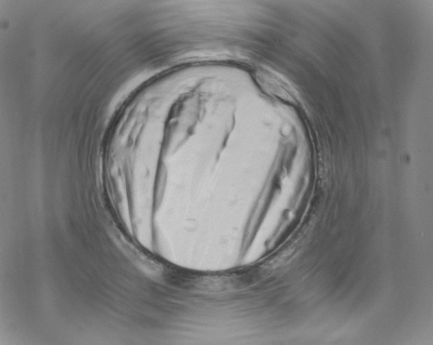 X0000076351179200610272112