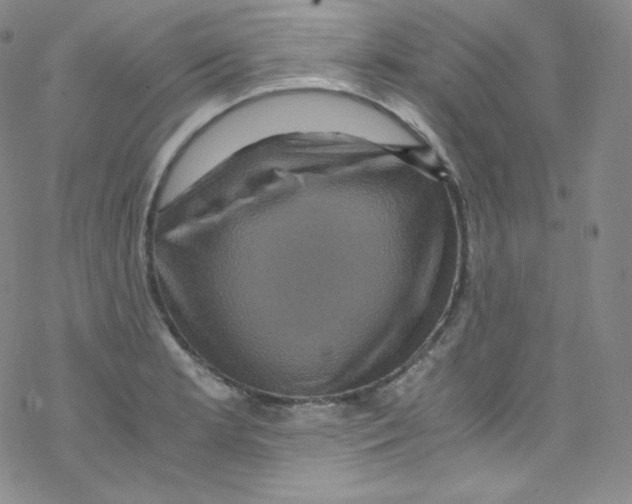 X0000076351181200610272112