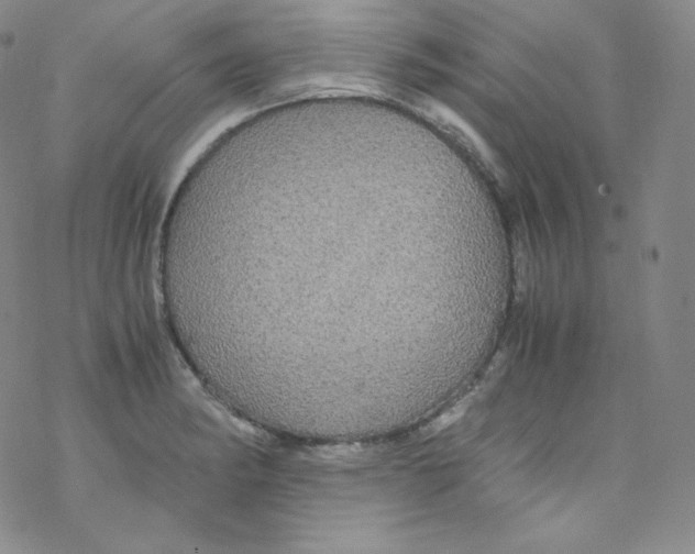 X0000076351182200610272112