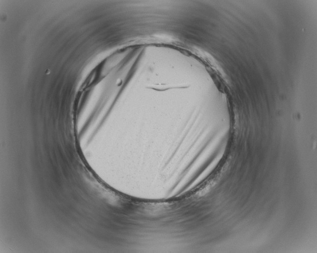 X0000076351184200610272112