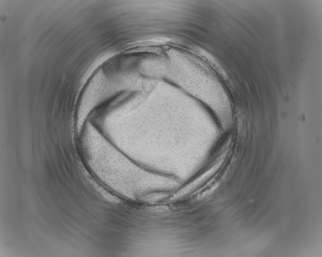 X0000076351186200610272112