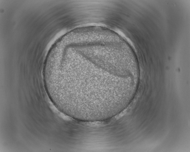 X0000076351189200610272112