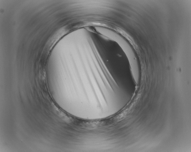 X0000076351193200610272112