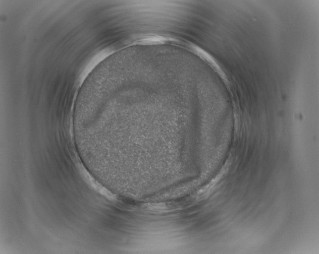 X0000076351194200610272112