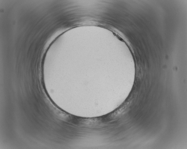 X0000076351195200610272112