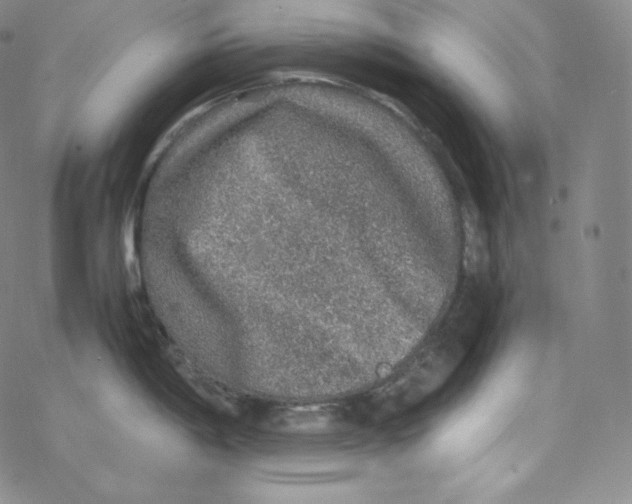 X0000076351198200610272112