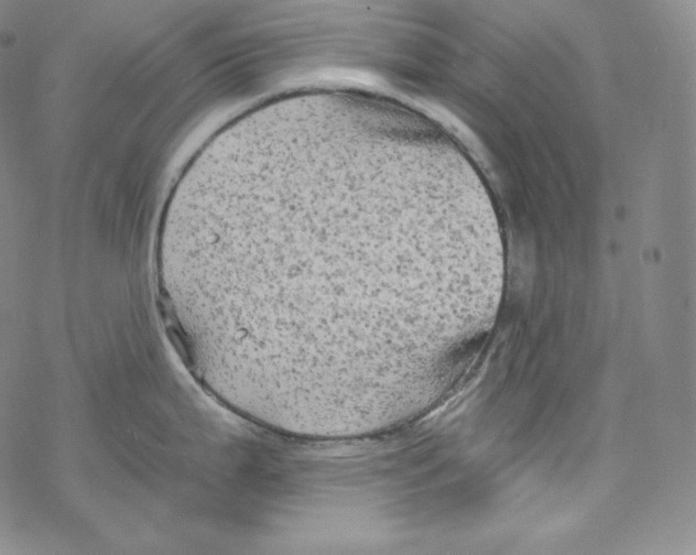 X0000076351199200610272112