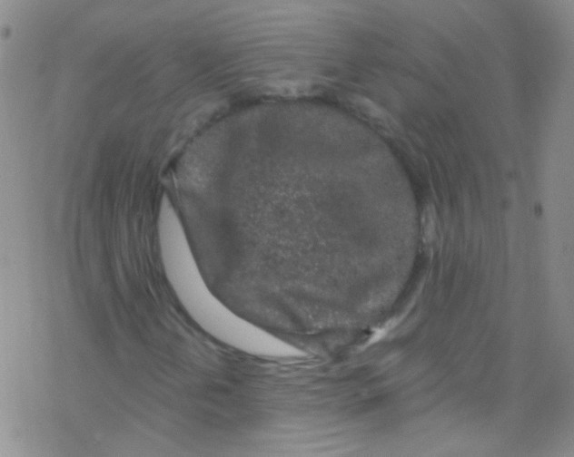 X0000076351202200610272111