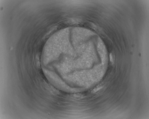 X0000076351203200610272111