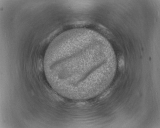 X0000076351204200610272111