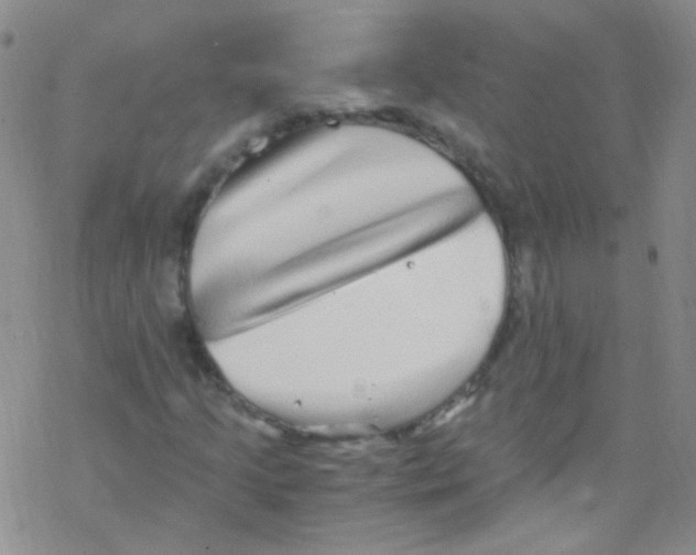 X0000076351205200610272111