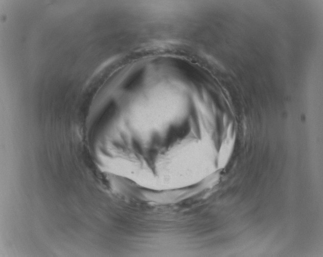 X0000076351206200610272111