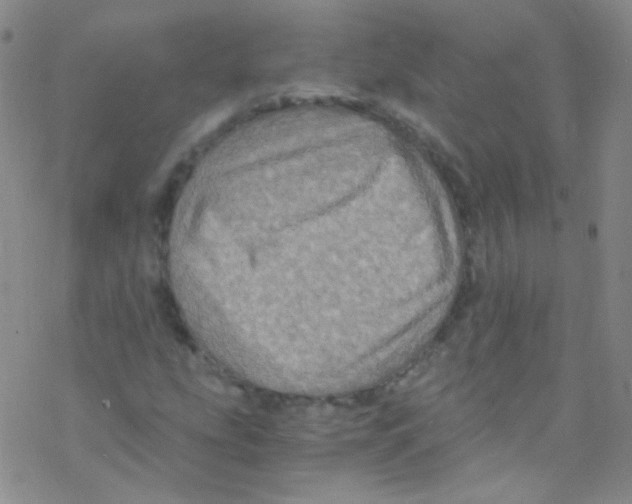 X0000076351207200610272111