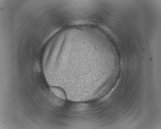 X0000076351209200610272111