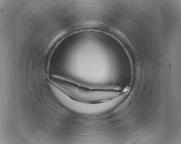 X0000076351210200610272111