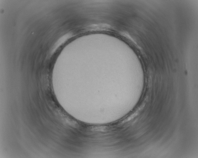 X0000076351211200610272111