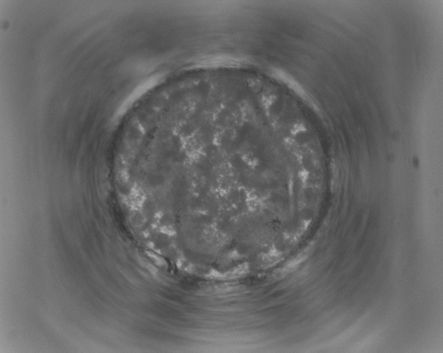 X0000076351213200610272111