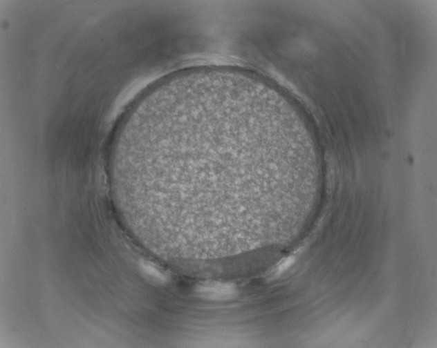 X0000076351215200610272111