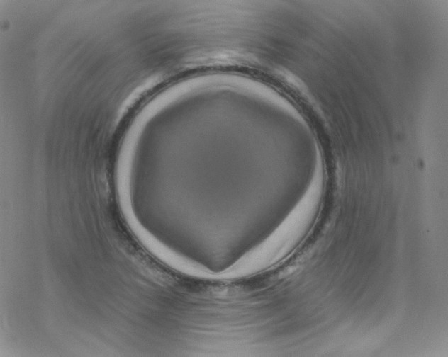 X0000076351218200610272111